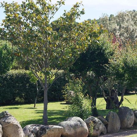 Les Jardins De Santa Giulia - Charmante chambre d'hôte Porto-Vecchio  Buitenkant foto