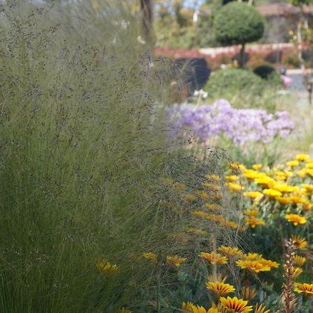 Les Jardins De Santa Giulia - Charmante chambre d'hôte Porto-Vecchio  Buitenkant foto