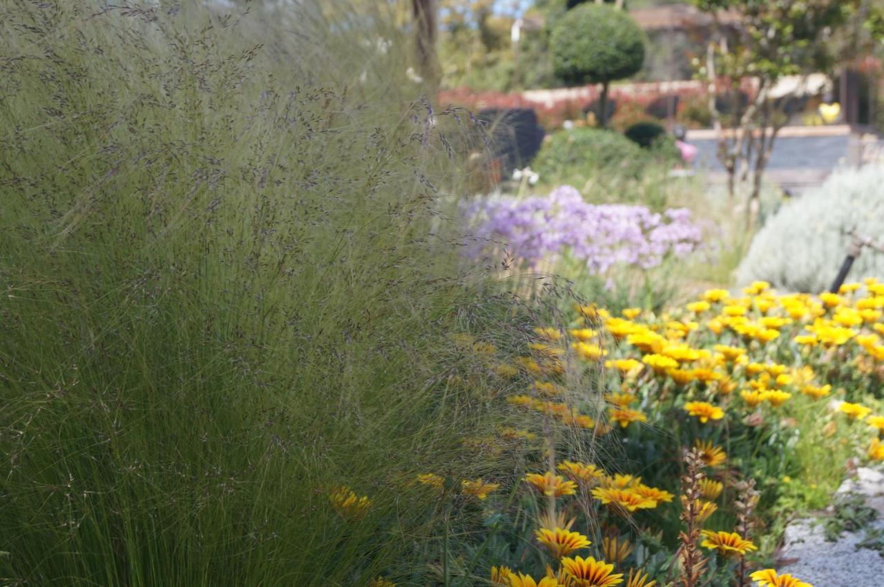 Les Jardins De Santa Giulia - Charmante chambre d'hôte Porto-Vecchio  Buitenkant foto